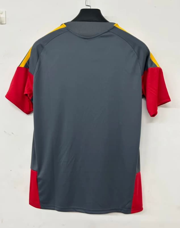 AAA Quality AS Roma 25/26 Training Soccer Jersey (Player)
