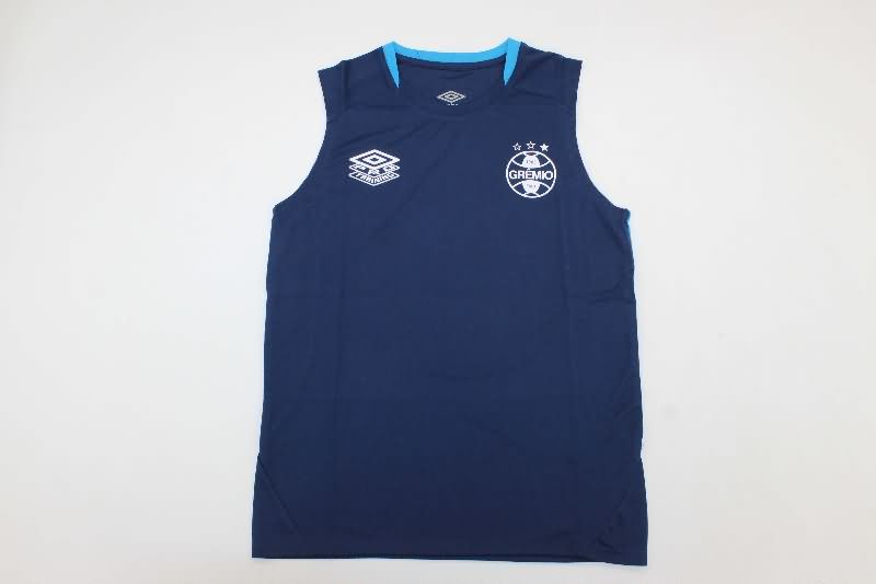 AAA Quality Gremio 2025 Training Vest Soccer Jersey 02