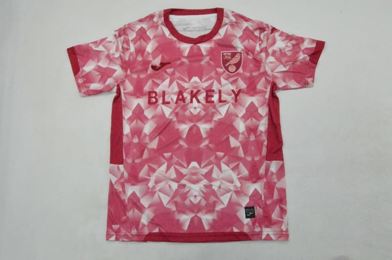 AAA Quality Norwich 25/26 Third Soccer Jersey