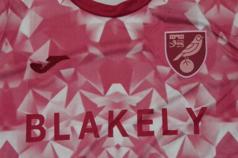 AAA Quality Norwich 25/26 Third Soccer Jersey