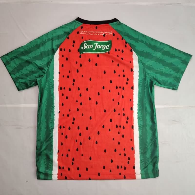AAA Quality Palestino 2025 Special Soccer Jersey 03