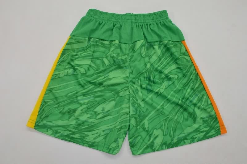 Kids Dortmund 25/26 Goalkeeper Green Soccer Jersey And Shorts