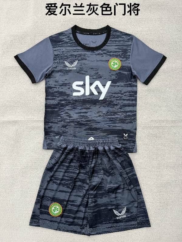Ireland 2026 Goalkeeper Grey Soccer Jersey