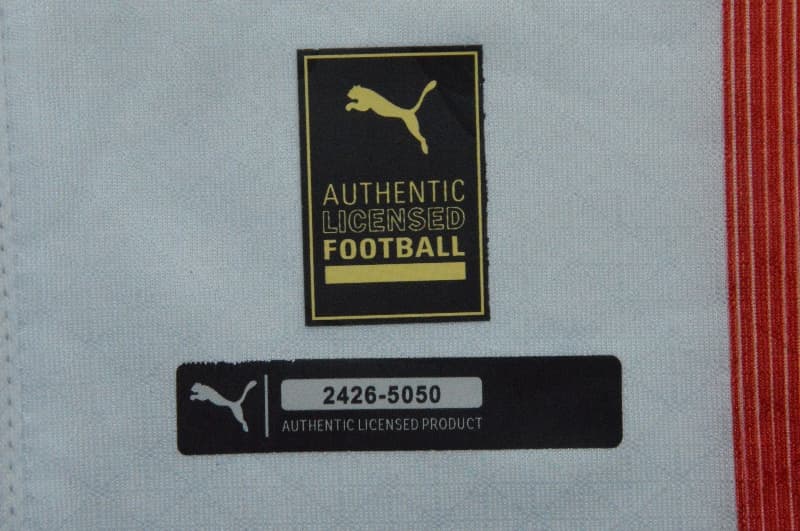 AAA Quality Guadalajara Chivas 26/27 120th Anniversary Long Soccer Jersey(Player)