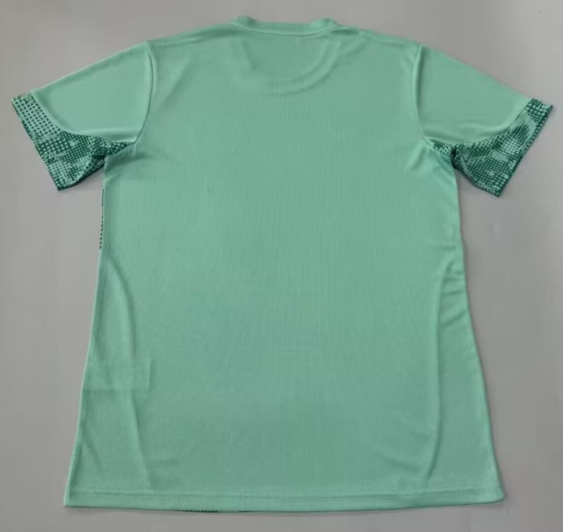 AAA Quality Palmeiras 2026 Training Soccer Jersey