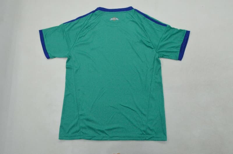 AAA Quality Argentina 2026 World Cup Goalkeeper Green Soccer Jersey