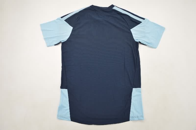 AAA Quality Argentina 2026 Training Soccer Jersey (Player)