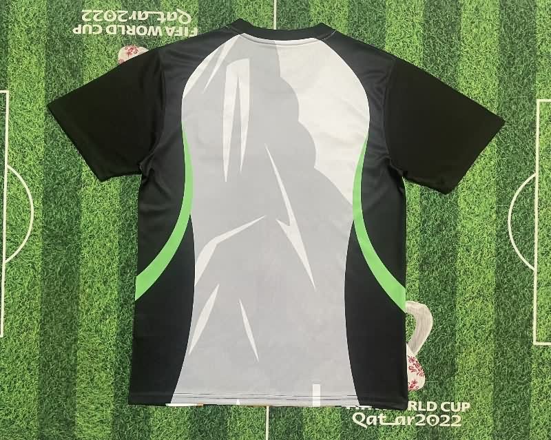 AAA Quality Brazil 2025 Special Soccer Jersey 17