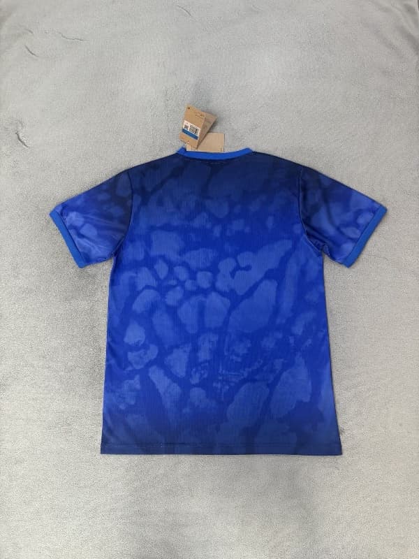 AAA Quality Brazil 2026 Blue Soccer Jersey