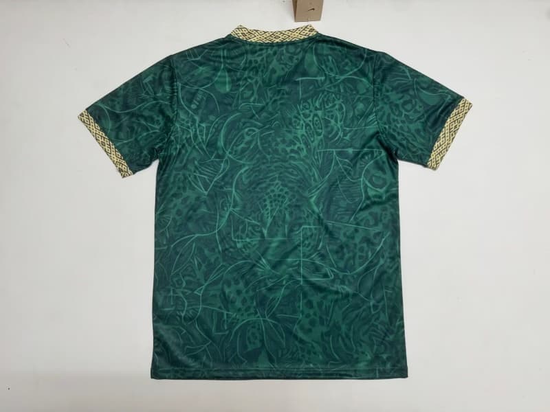 AAA Quality Brazil 2026 Special Soccer Jersey 13