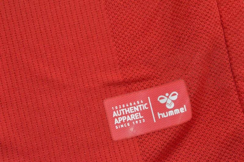 AAA Quality Danmark 2026 Home Soccer Jersey