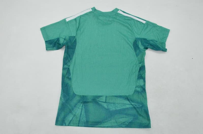 AAA Quality Germany 2026 World Cup Goalkeeper Green Soccer Jersey (Player)