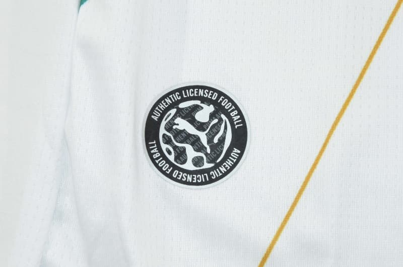 AAA Quality Ghana 2026 Home Soccer Jersey