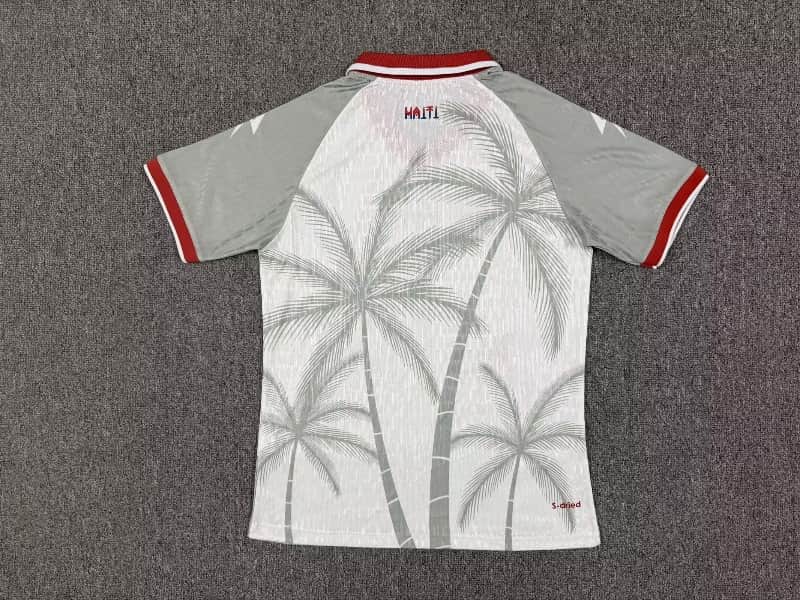 AAA Quality Haiti 2026 World Cup Away Soccer Jersey (Player)
