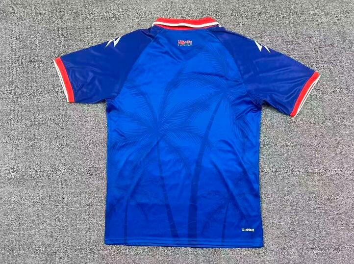 AAA Quality Haiti 2026 World Cup Home Soccer Jersey