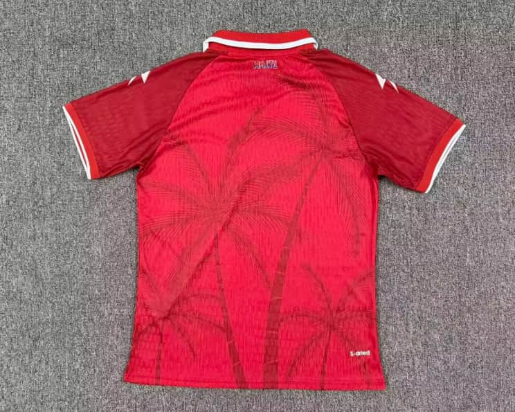 AAA Quality Haiti 2026 World Cup Third Soccer Jersey (Player)