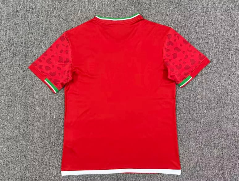 AAA Quality Iran 2026 World Cup Away Soccer Jersey