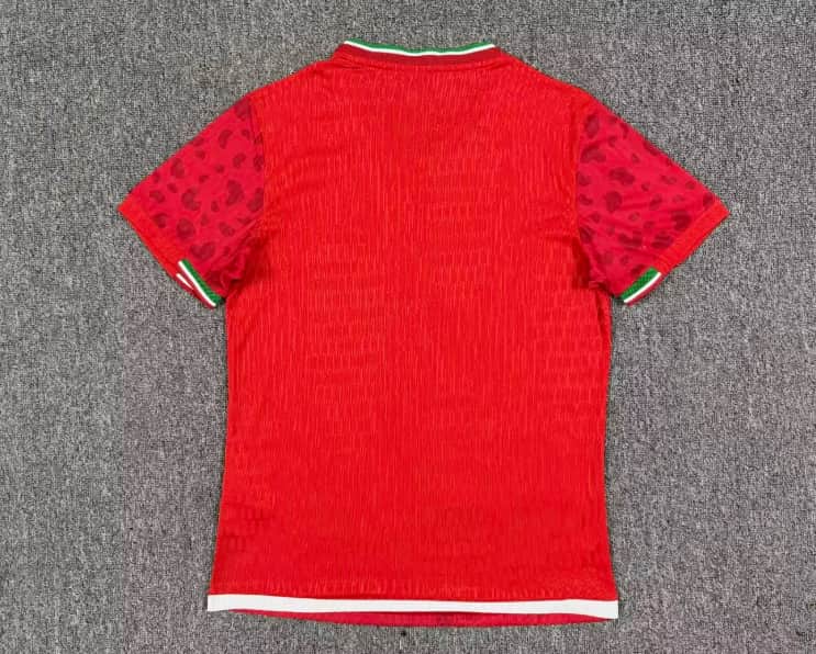 AAA Quality Iran 2026 World Cup Away Soccer Jersey (Player)