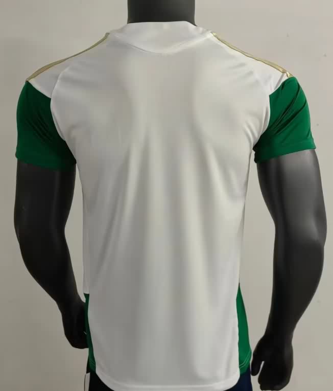 AAA Quality Italy 2026 Training Soccer Jersey 02