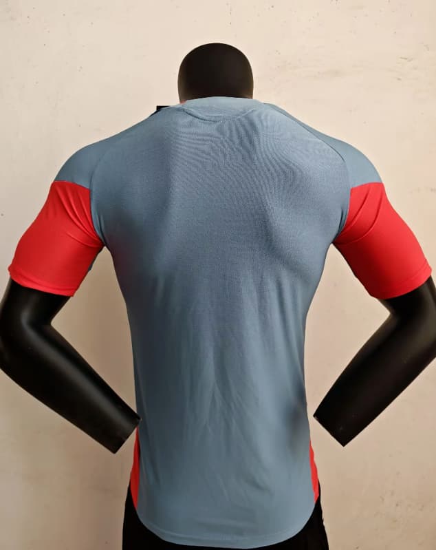 AAA Quality Japan 2026 Training Soccer Jersey (Player)