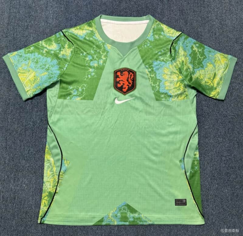 AAA Quality Netherlands 2026 Goalkeeper Green Soccer Jersey