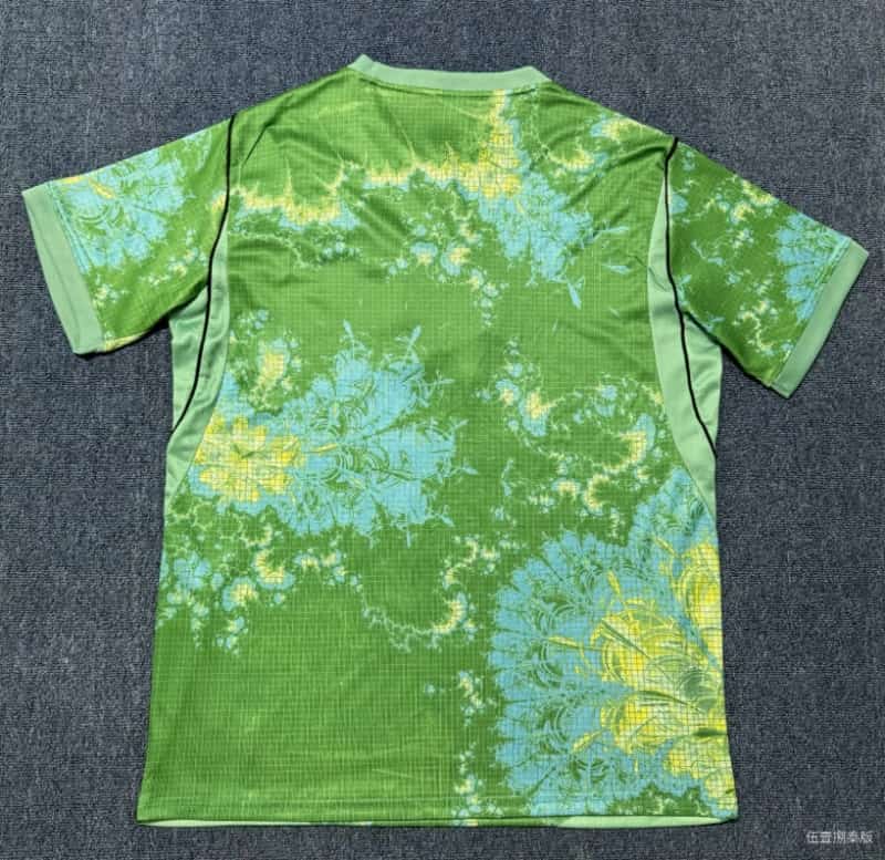 AAA Quality Netherlands 2026 Goalkeeper Green Soccer Jersey