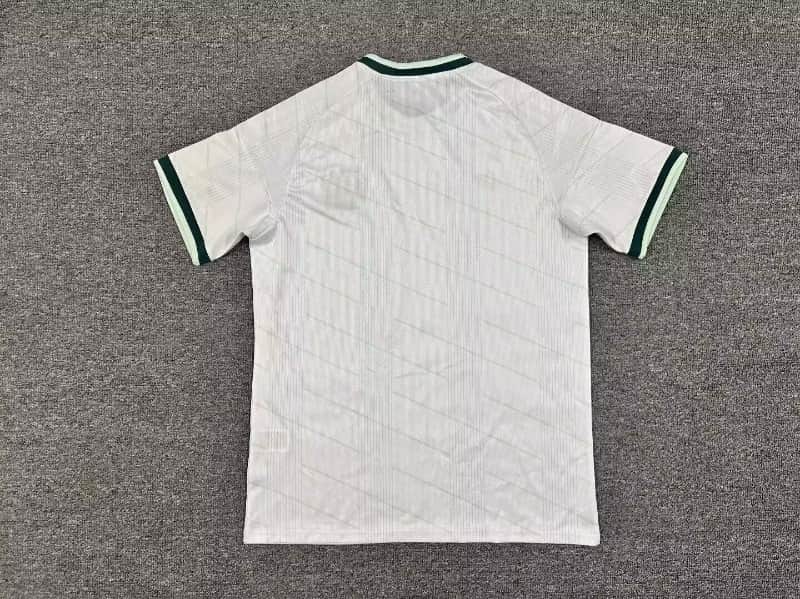 AAA Quality Northern Ireland 2026 Away Soccer Jersey
