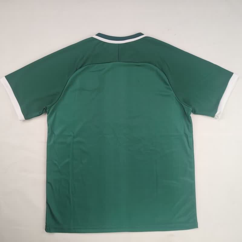 AAA Quality Palestine 2026 Green Soccer Jersey