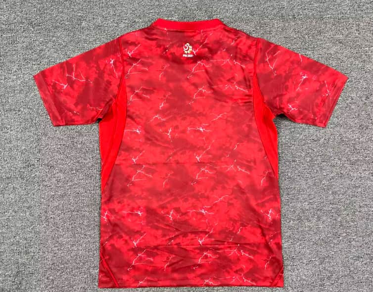 AAA Quality Poland 2026 Away Soccer Jersey
