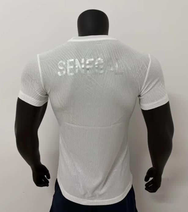AAA Quality Senegal 2026 Training Soccer Jersey (Player)