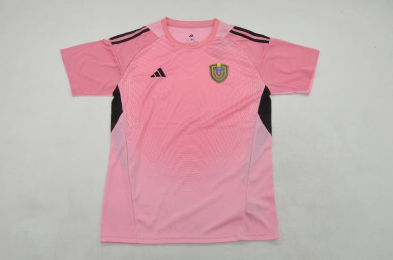 AAA Quality Venezuela 25/26 Goalkeeper Pink Soccer Jersey