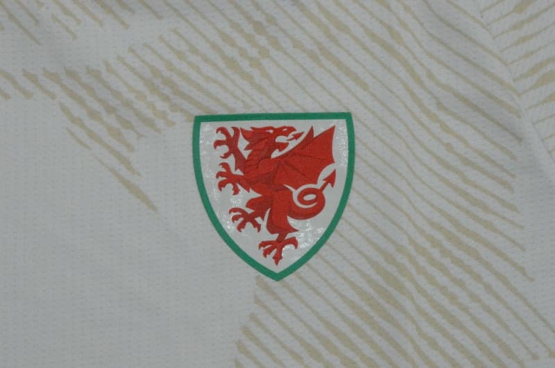 AAA Quality Wales 2026 Away Soccer Jersey (Player)