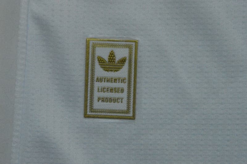 AAA Quality Wales 2026 Away Soccer Jersey (Player)
